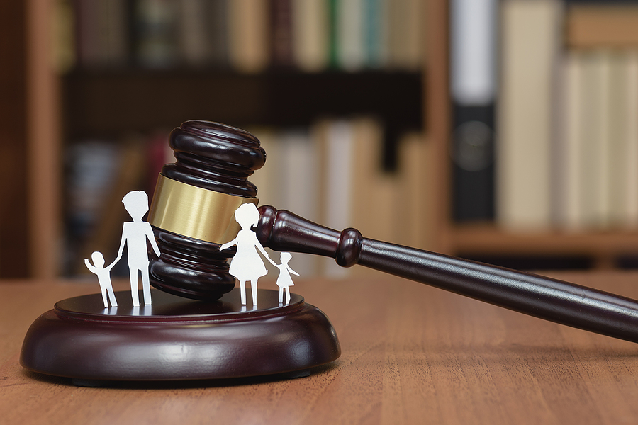 Court and the rights of the family and children. The concept of family law in court